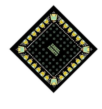 Original Bandanna 